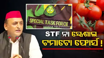 Akhilesh Yadav On STF