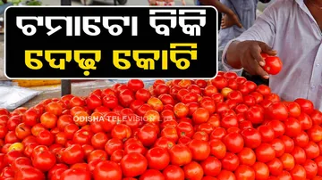 Tomato Price Hike