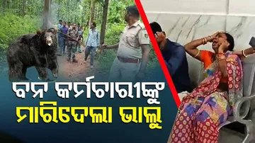 Bear Attack Death In Odisha