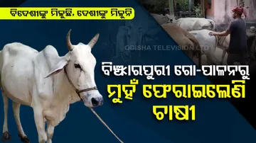 Jajpur dairy farmers 