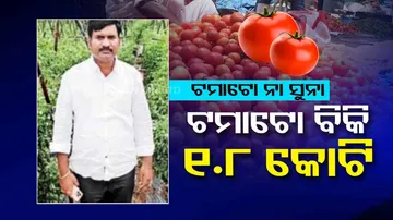 Tomato Price Hike