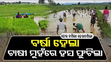 Rain brings slight relief for farmers in Odisha’s Bonai