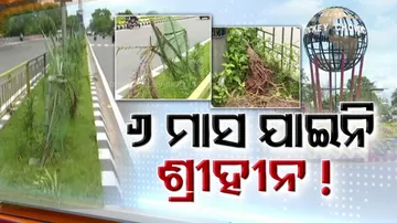 Smart City Rourkela losing its beauty fast