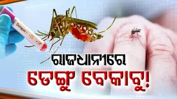 ବେକାବୁ ହେଲାଣି ଡେଙ୍ଗୁ 