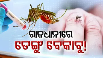 Rise in dengue cases 