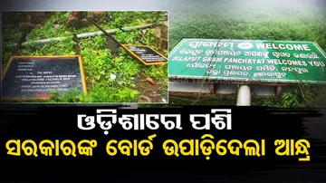 Andhra’s eye on Odisha land