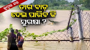 Crocodile fear grips locals in Kendrapara