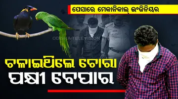 Forest officials arrest youth