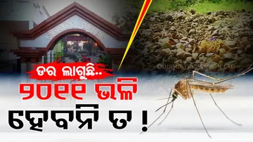 Rise in dengue cases raises concern among locals in Angul