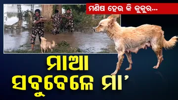 Andhra Pradesh Police