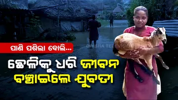 Woman rescues goat from rising floodwaters in Bhadrak
