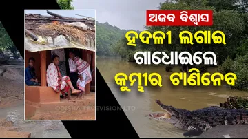 Villagers in Nuapada believe, ‘crocodile attacks if you wear red and use turmeric while taking bath’