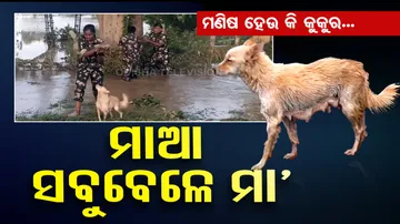 Andhra Pradesh Police rescue puppies after dog seeks help