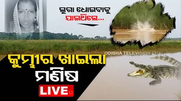 Crocodile drags Jajpur woman into river, kills her