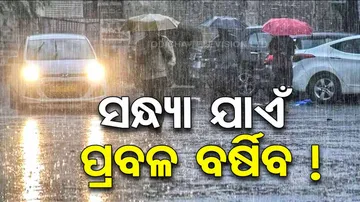 Heavy Rain In Twin Cities