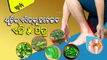 5 miraculous leaves will destroy uric acid