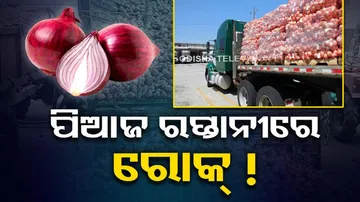 Govt imposes 40% export duty on onion to devlop local supplies