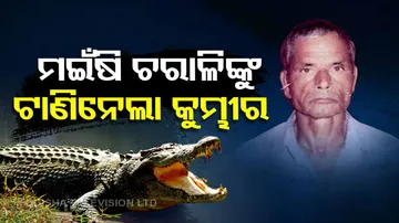 Pattamundai Crocodile Attack