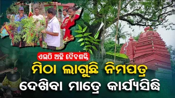 This neem tree has unique powers which fulfills people’s dreams in Balasore