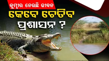 Crocodile menace panics locals in Odisha’s Chandbali
