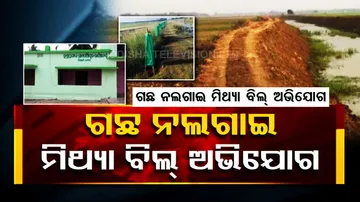 Locals allege corruption in plantation drive in Odisha’s Niali