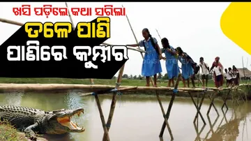 Crocodile menace, sans bridge turns double whammy, affects education system in Kendrapara
