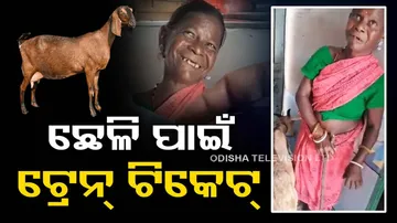 train ticket for her goat