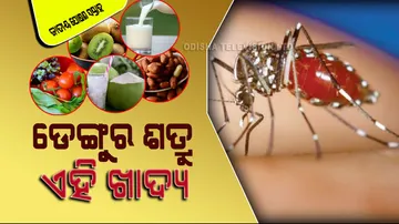 National Nutrition Week 2023: Foods for dengue fever