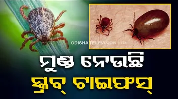 Scrub Typhus Death In Odisha