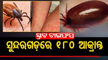 11 people get infected to deadly Scrub Typhus disease in Sundergarh