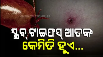 What is Scrub Typhus