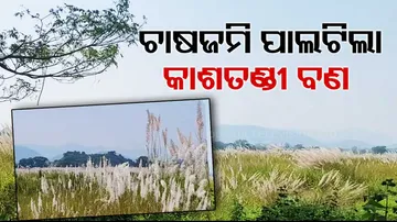  sand still lying in fields