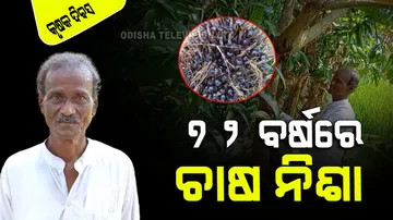 Successful old farmer Shankarsana mallick