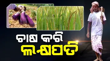 Millionaire By Farming