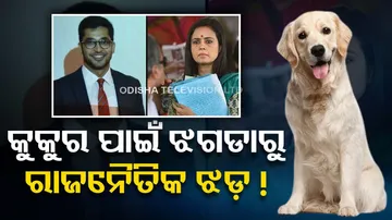 cash for query’ row