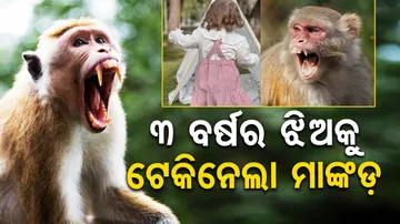 Monkey Snatches 3 Year Old Girl