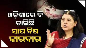 Maneka Gandhi