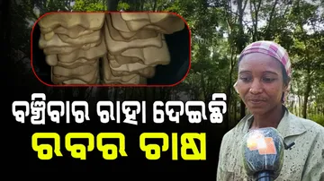 Rubber farming has given income