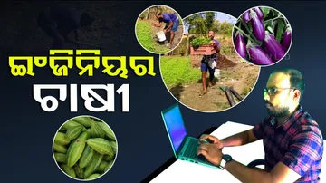 Engineer turned farmer, earns massive profit from vegetable farming in Balasore