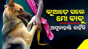 Maheswar Mohantys Pet dog