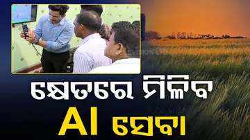 Artificial Intelligence in Farming