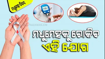 World Diabetes Day 2023