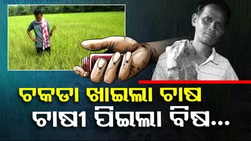 Farmer ends life after locust destroys standing crop in Bolangir