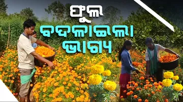 Flower cultivation changed life of this Odisha man