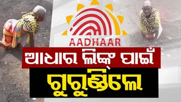 Divyang woman crawls her way 30 km to take her pension money in Sundergarh