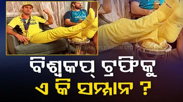 World Cup 2023 Trophy Viral Photo