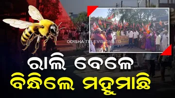 Bee Attack In BJP Rally