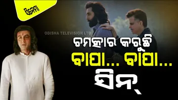 know how is ranbir kapoor film animal