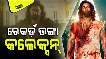 Animal real worldwide collection crossed 100 crore