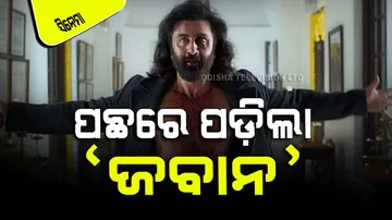 On Second day ranbir kapoor film earned more than srk jawan